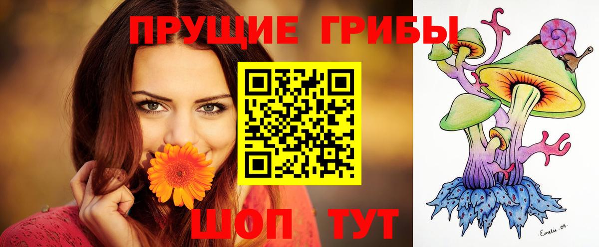 Бугуруслан  купить наркоту  Вход с VPN  Галлюциногенные грибы MAGIC MUSHROOMS 